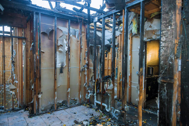 Professional Soot Cleanup technician working in Cedar, MN