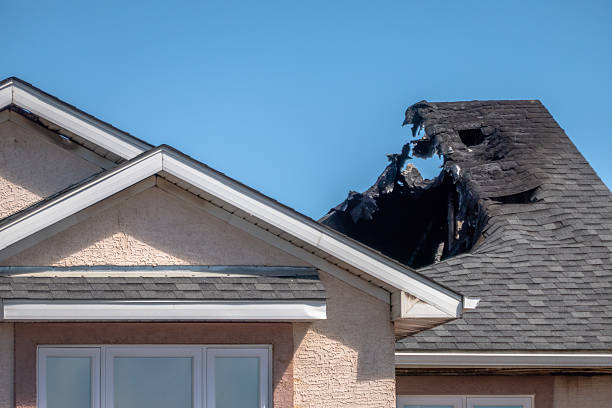 Top rated local Soot Cleanup specialists in Cedar, MN